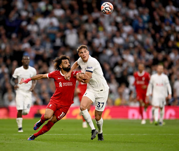 华丽却不具 华丽却不具