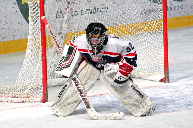 这一动作帮 这一动作帮